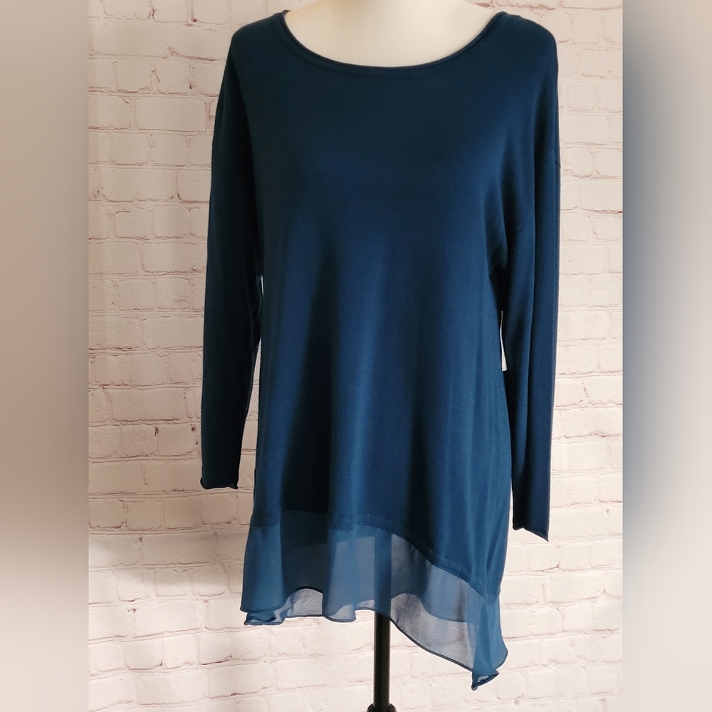 NWT Cupio Long Sleeve Top with Sheer Ruffle Bottom. Size L.